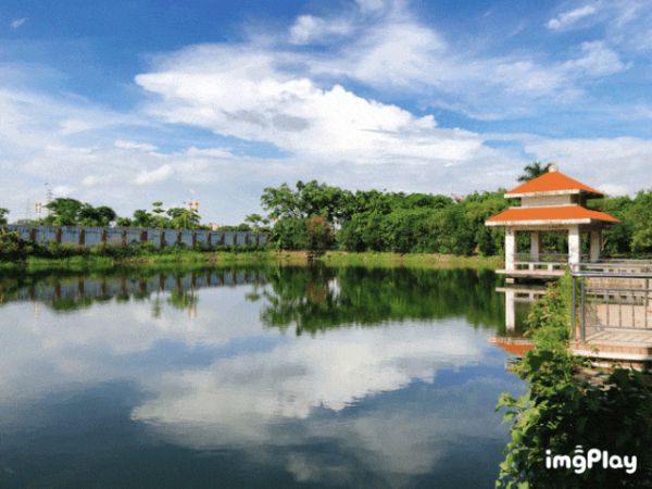 孫思邈中藥文化園.gif