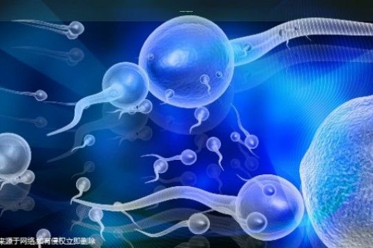 〖养生十大秘诀,10个健康长寿养生妙方〗