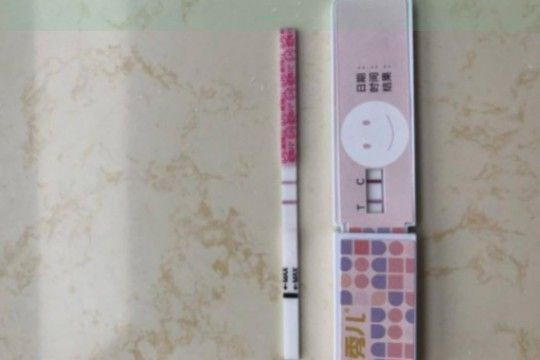〖养达人羊奶粉评测揭秘口感与营养的完美结合〗