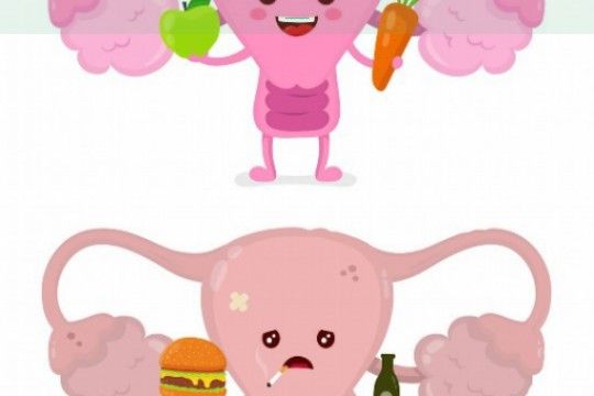 〖美羚玺羊奶粉评测揭秘优缺点及真实口碑分析〗