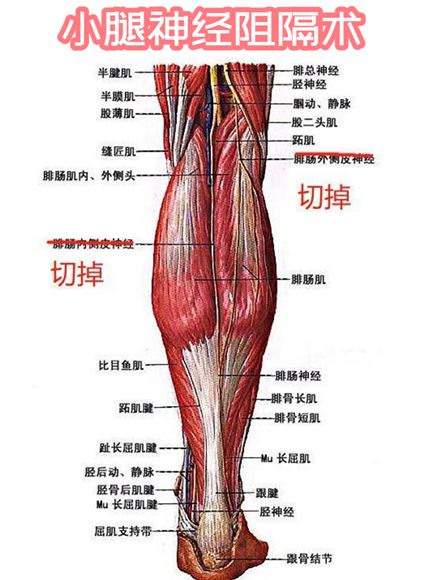 1626761466(1).jpg