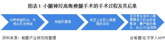 圖表1: 小腿神經(jīng)離斷瘦腿手術(shù)的手術(shù)過程及其后果