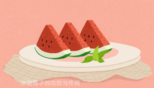 冰糖梅子的功效與作用