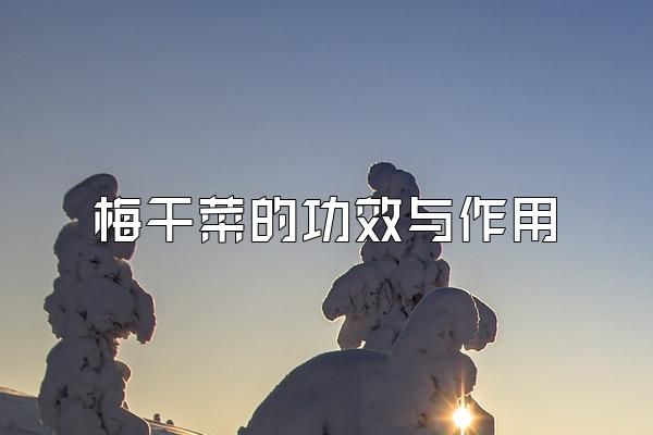 梅干菜的功效與作用