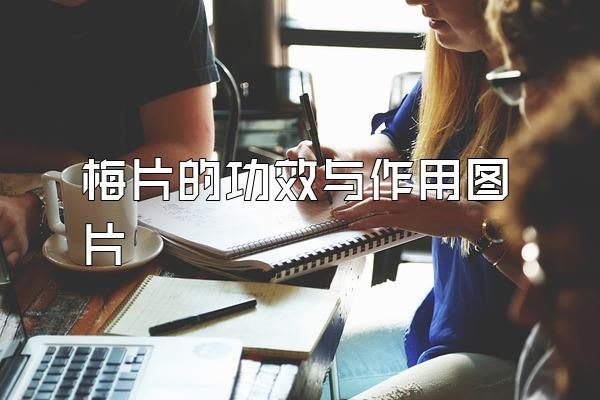 梅片的功效與作用圖片