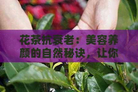 花茶抗衰老：美容養(yǎng)顏的自然秘訣，讓你皮膚煥發(fā)青春光彩