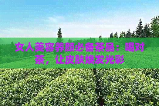 女人美容養(yǎng)顏必備茶品：喝對(duì)茶，讓皮膚煥發(fā)光彩