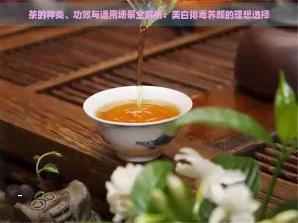 茶的種類、功效與適用場景全解析：美白排養(yǎng)顏的理想選擇