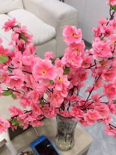《冬日煥膚秘籍：守護(hù)肌膚的溫潤時光》 