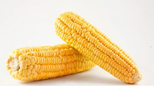 玉米的熱量是多少