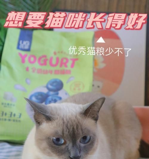 猫咪夜里需要吃猫粮吗？（揭秘猫咪夜间进食的真相，了解宠物健康饮食的重要性）