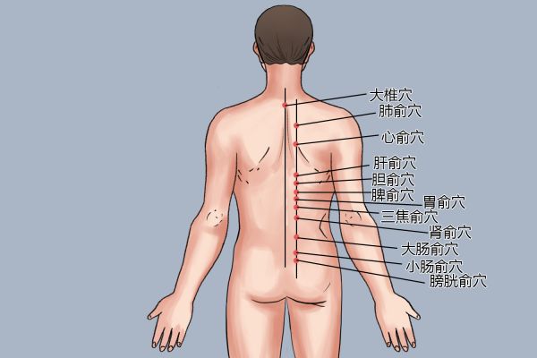 拔罐12個位置示意圖