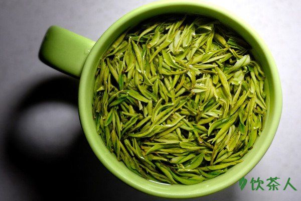 綠茶可以瘦身嗎，多喝綠茶有利于減肥(能減少脂肪)