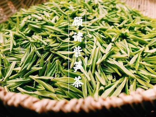 綠茶減肥正確喝法
