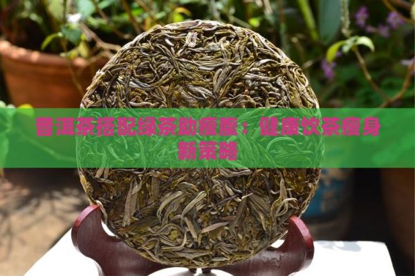 普洱茶搭配綠茶助瘦腹：健康飲茶瘦身新策略