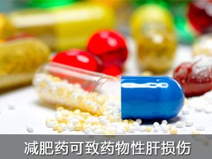 减肥药致肝坏死 药物性肝损伤莫忽视