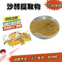 沙棘提取物 浓缩水溶沙棘粉 斯诺特工厂发货 支持拿样