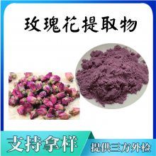 重瓣玫瑰花提取物 紫红色精细粉末 纸板桶包装