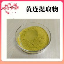 黄连提取物 黄色精细粉末 浓缩水溶黄连粉 纸板桶包装