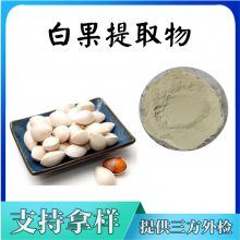 白果提取物 斯诺特水溶浓缩白果粉 支持拿样 生产量大