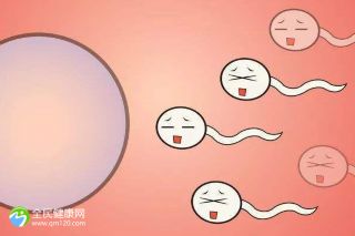 木耳的補(bǔ)腎做法：精子獲能用什么方法