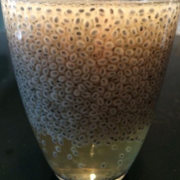 南眉籽飲品的做法