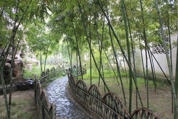 輕愁拋予黃梅雨——淺談夏季常見病的防治與調(diào)養(yǎng)（一）