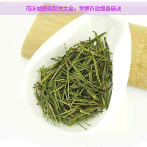 荷葉減肥茶配方大全：掌握有效瘦身秘訣