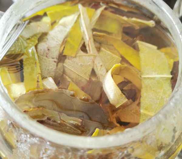 純奶手撕吐司的做法 步驟1