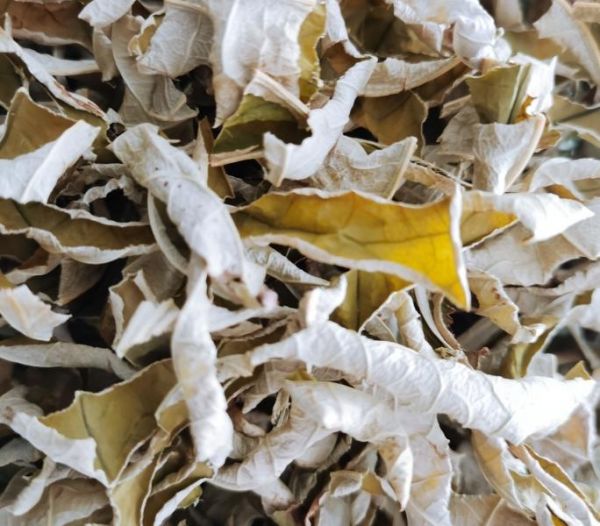 純奶手撕吐司的做法 步驟1