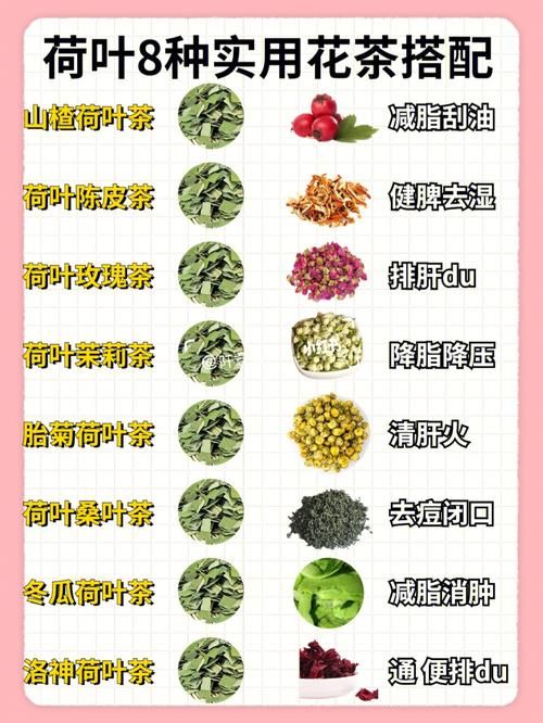 荷叶减肥茶，荷叶茶怎么喝有利于减肥？有哪些品牌推荐？