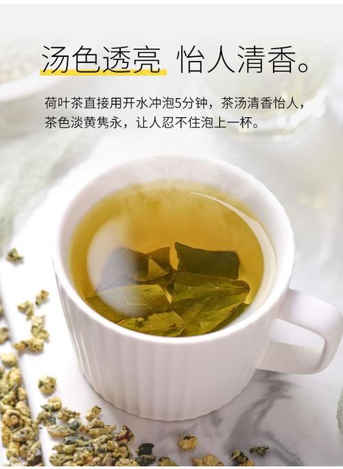 荷叶减肥茶，荷叶茶怎么喝有利于减肥？有哪些品牌推荐？