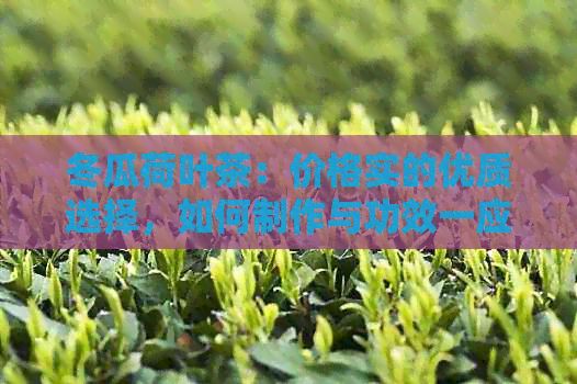 冬瓜荷葉茶：價(jià)格實(shí)的優(yōu)質(zhì)選擇，如何制作與功效一應(yīng)俱全