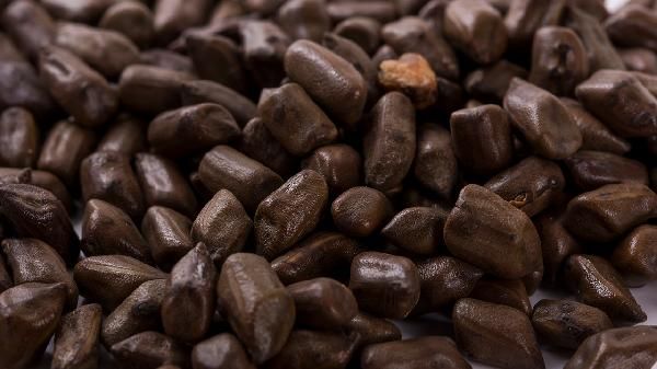 冬瓜荷葉決明子茶可以減肥嗎