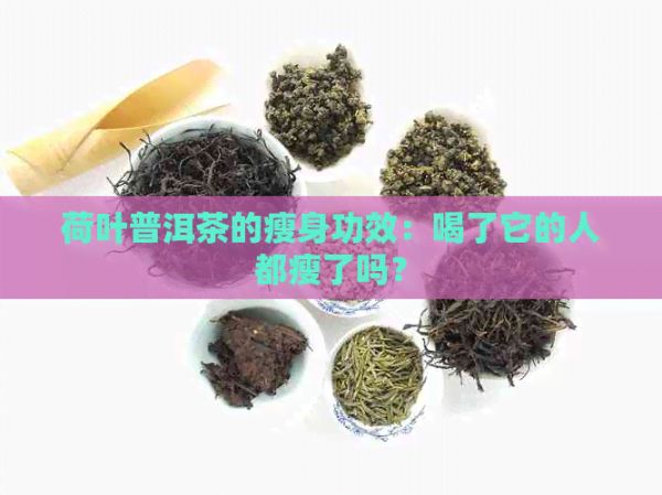 荷叶普洱茶的瘦身功效：喝了它的人都瘦了吗？