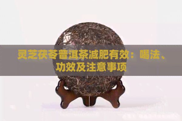 靈芝茯苓普洱茶減肥有效：喝法、功效及注意事項