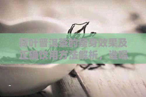 荷葉普洱茶的瘦身效果及正確飲用方法解析，誰喝了能瘦很多？