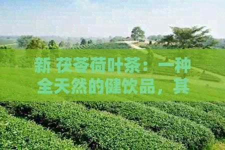 新 茯苓荷叶茶：一种全天然的健饮品，其独特的功效与作用解析