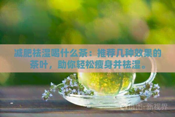 減肥祛濕喝什么茶：推薦幾種效果的茶葉，助你輕松瘦身并祛濕。