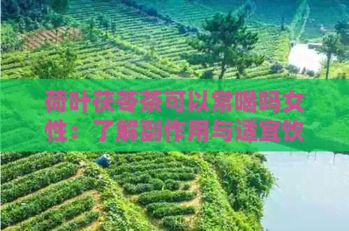 荷叶茯苓茶可以常喝吗女性：了解副作用与适宜饮用量。