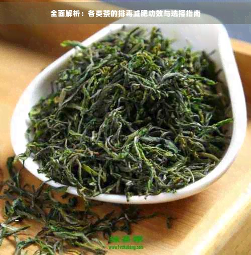 全面解析：各類茶的排減肥功效與選擇指南