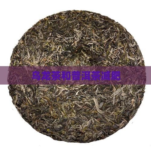 烏龍茶和普洱茶減肥
