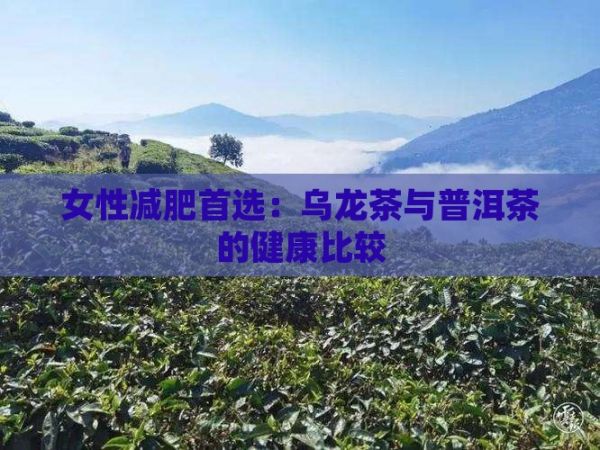 女性減肥首選：烏龍茶與普洱茶的健康比較