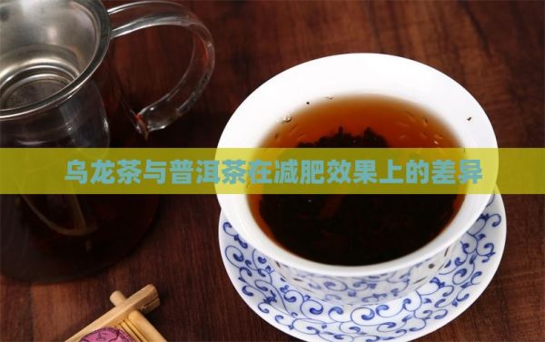 烏龍茶與普洱茶在減肥效果上的差異