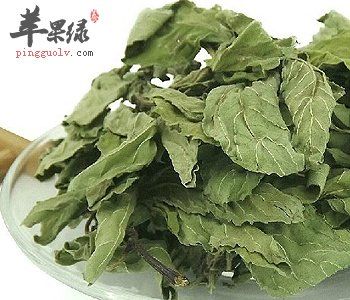 喝荷葉茶瘦身的原理 荷葉茶的副作用有哪些