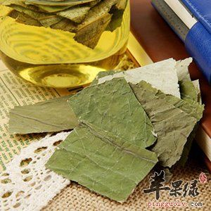 喝荷葉茶瘦身的原理 荷葉茶的副作用有哪些