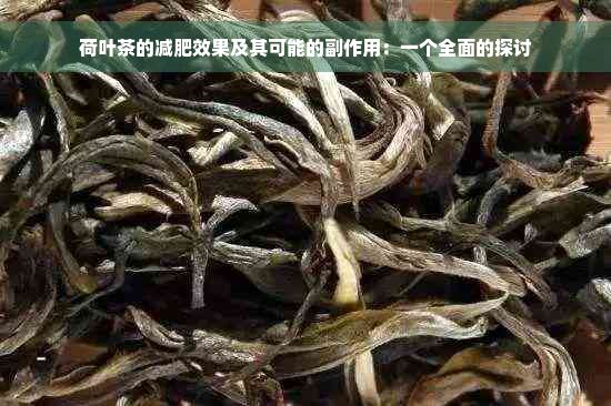 荷葉茶的減肥效果及其可能的副作用：一個(gè)全面的探討