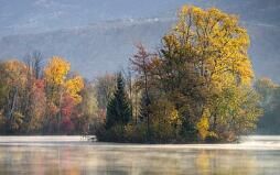 什么減肥產(chǎn)品吃了不反彈，你知道嗎