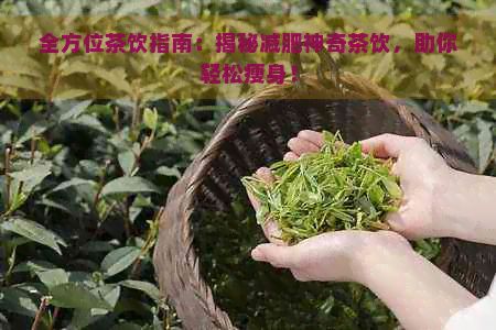 全方位茶飲指南：揭秘減肥神奇茶飲，助你輕松瘦身！