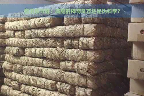 普洱茶与健：减肥的神奇良方还是伪科学？